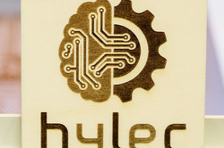 Logo des Hylec gelasert in Holz.