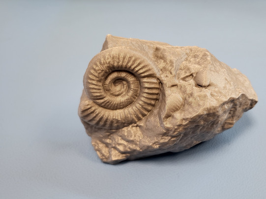 Foto eines 3d-gedruckten Fossils