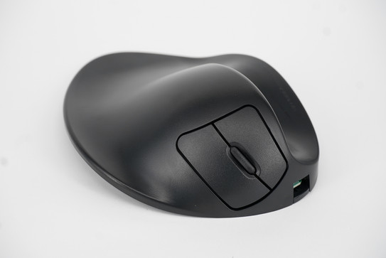 Foto der Handschuhmaus
